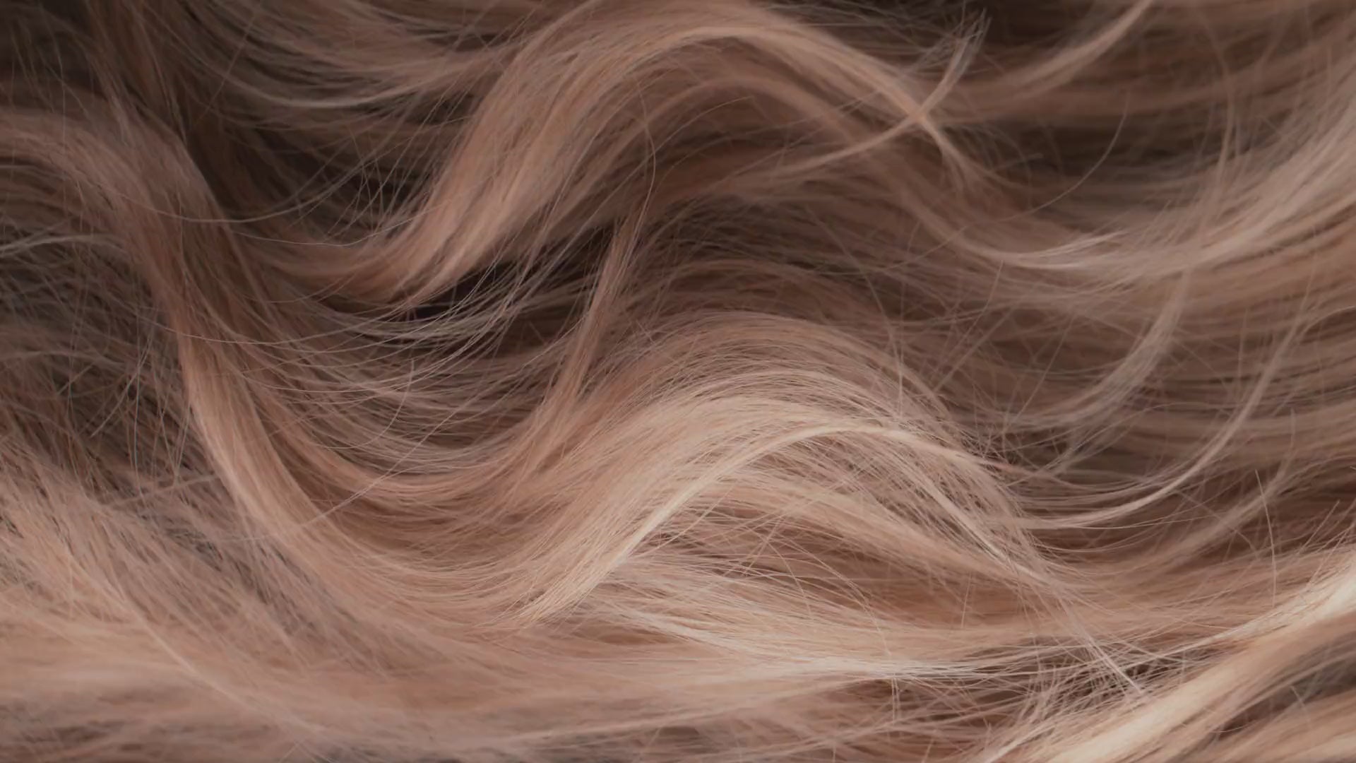One-Piece Clip-In 